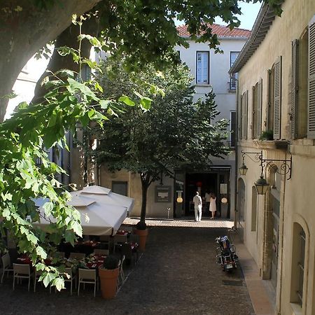 Studios Entre Le Pont D' Avignon Et Le Palais Des Papes Exterior foto