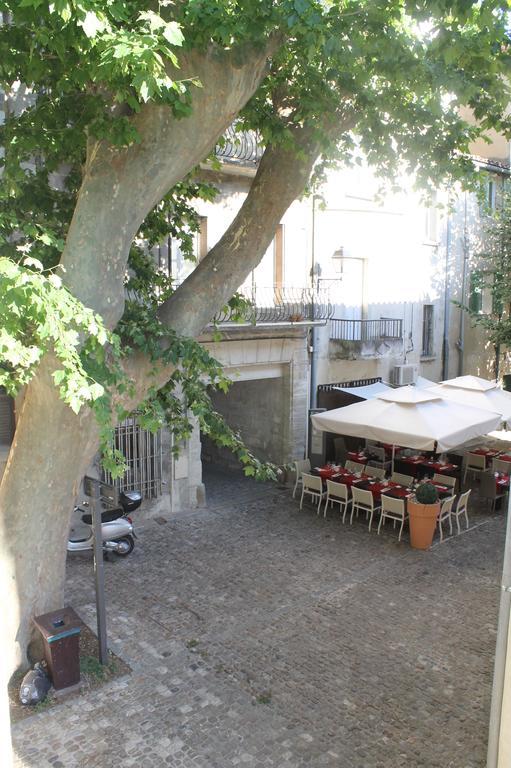 Studios Entre Le Pont D' Avignon Et Le Palais Des Papes Exterior foto